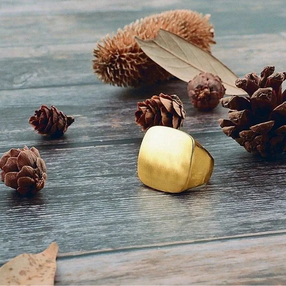 Gold Signet Ring with Matte Finish and Bold Statement Ring Design; New!